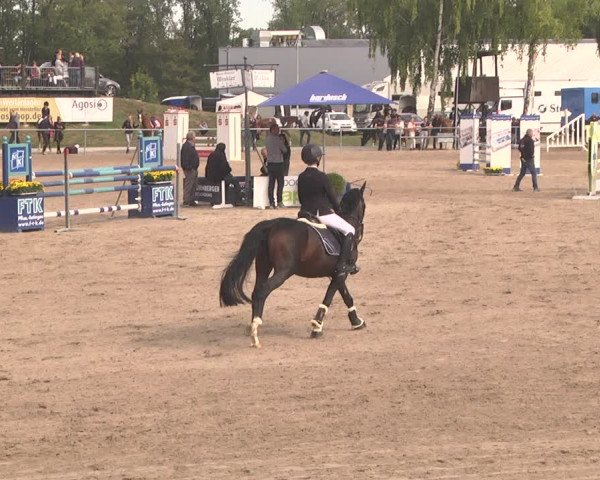 Reitturnier Pforzheim 2019