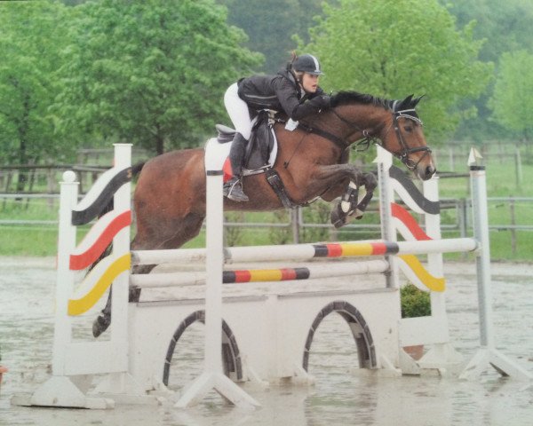 jumper Aron 248 (German Warmblood, 1996, from Unbekannt)
