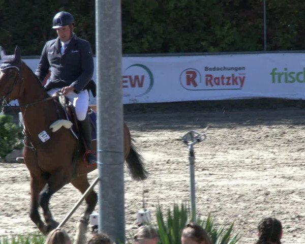 Reitturnier Neunkirchen-City 2019