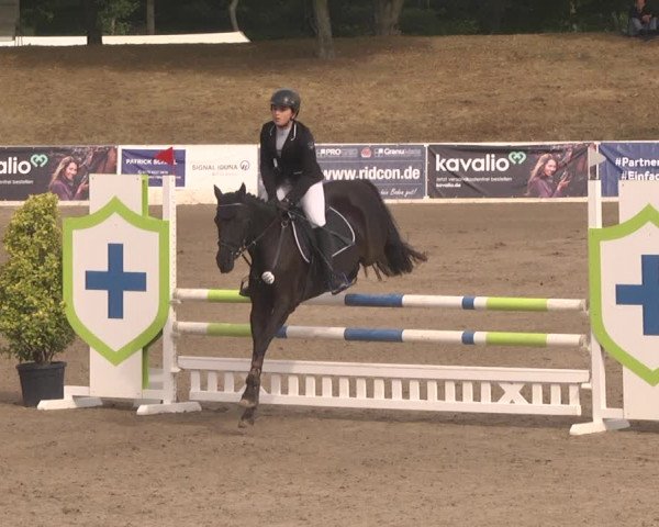 Reitturnier Pforzheim 2019