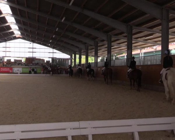 Reitturnier Hof Bettenrode 2019