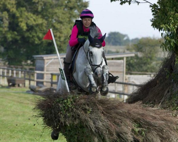 horse Rancoeur du Sepey (Selle Français, 2005, from Joly Fly des Forets)