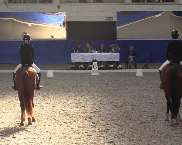 Reitturnier Pforzheim 2019