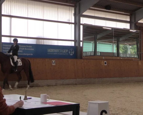 Reitturnier Hof Bettenrode 2019