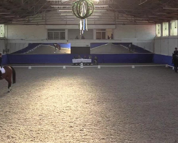Reitturnier Pforzheim 2019