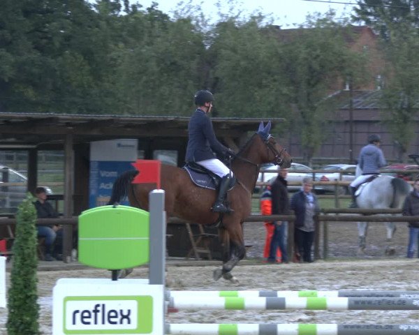 Reitturnier Lüdinghausen-Westrup 2019