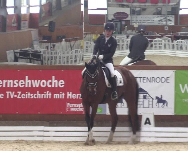 Reitturnier Hof Bettenrode 2019