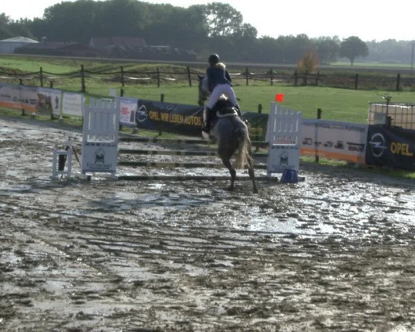 Reitturnier Lüdinghausen-Westrup 2019