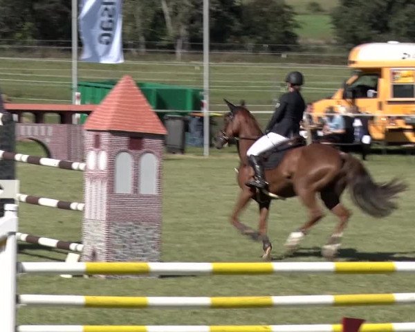 Reitturnier Jüterbog / Werder 2019