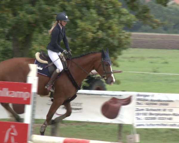 Reitturnier Lüdinghausen-Westrup 2019