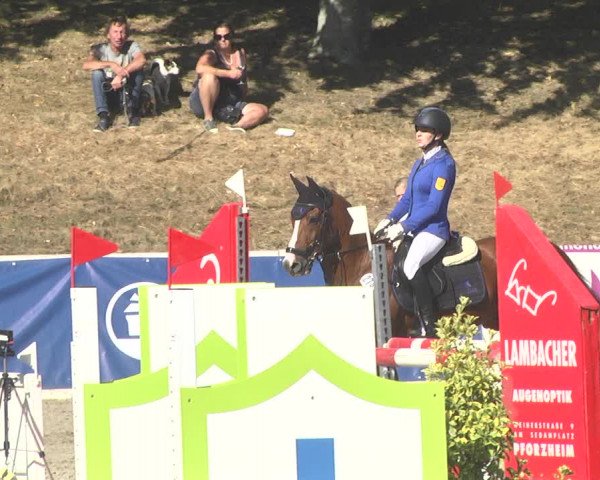 Reitturnier Pforzheim 2019