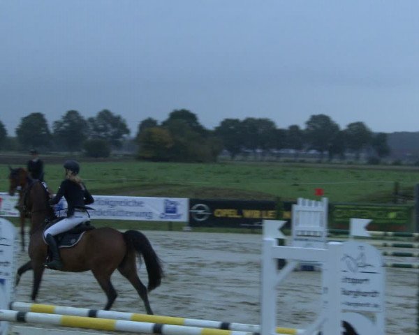 Reitturnier Lüdinghausen-Westrup 2019