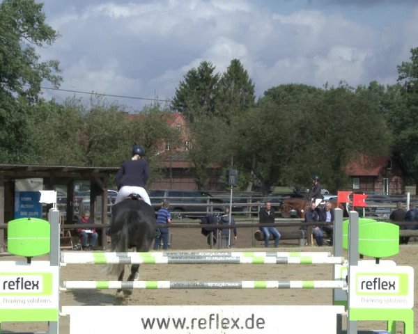 Reitturnier Lüdinghausen-Westrup 2019