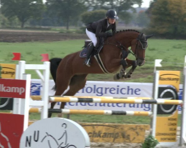 Reitturnier Lüdinghausen-Westrup 2019