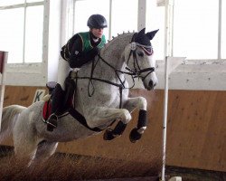jumper Maiwind (Little German Riding Horse, 1998, from Meerdrache xx)