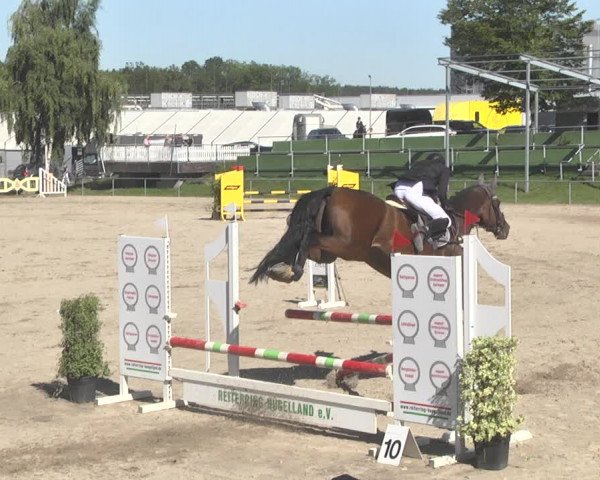 Reitturnier Pforzheim 2019