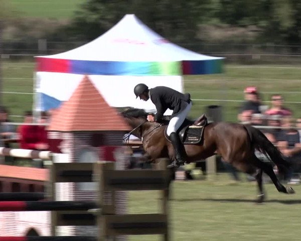 Reitturnier Jüterbog / Werder 2019