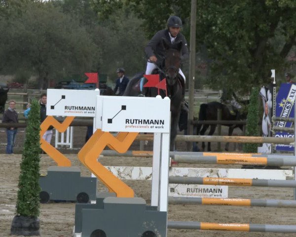 Reitturnier Lüdinghausen-Westrup 2019