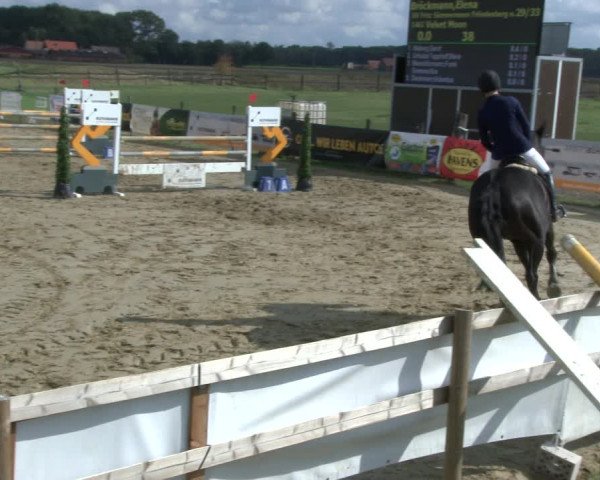 Reitturnier Lüdinghausen-Westrup 2019
