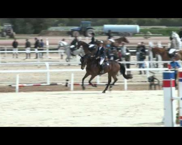 jumper Victoire D'Azur (Selle Français, 2009, from Jokus Latour)