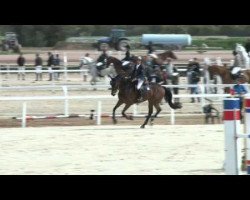 jumper Victoire D'Azur (Selle Français, 2009, from Jokus Latour)