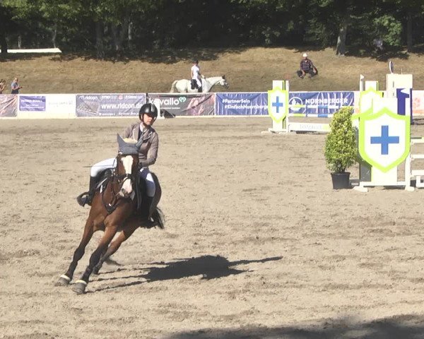 Reitturnier Pforzheim 2019