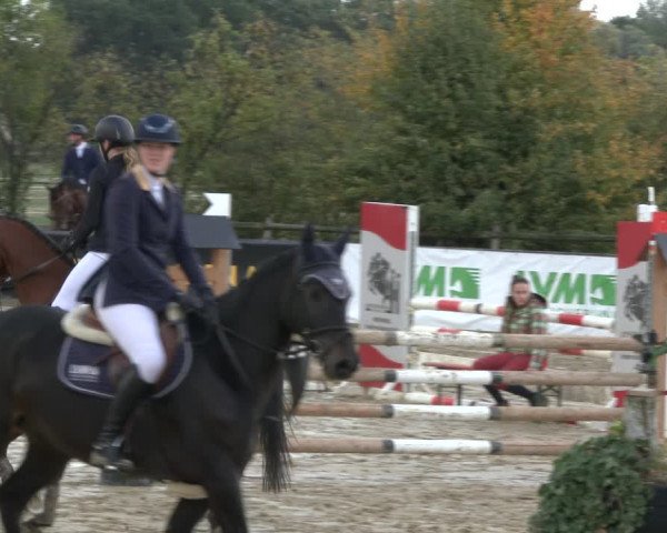 Reitturnier Lüdinghausen-Westrup 2019