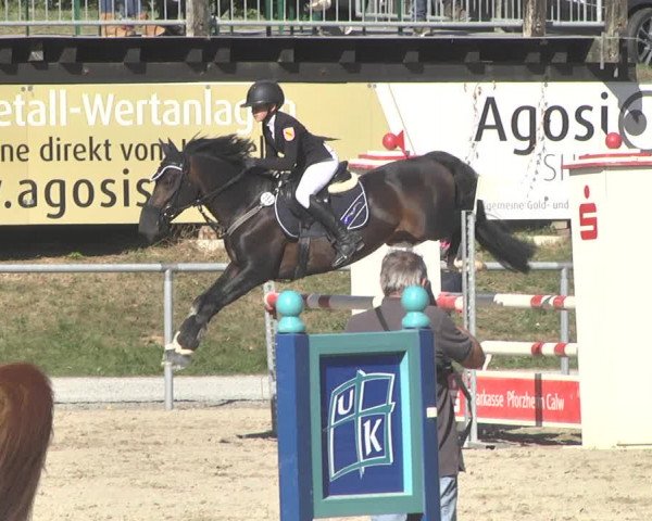 Reitturnier Pforzheim 2019