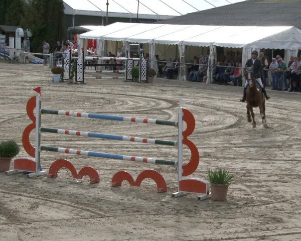Reitturnier Neunkirchen-City 2019