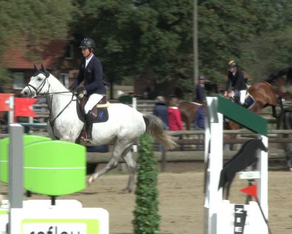 Reitturnier Lüdinghausen-Westrup 2019