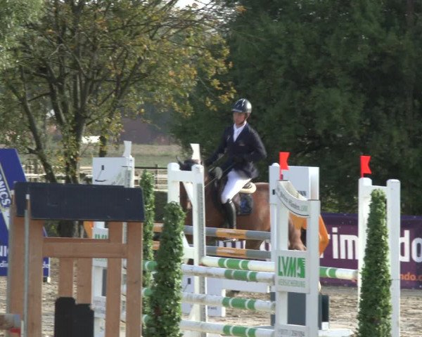 Reitturnier Lüdinghausen-Westrup 2019