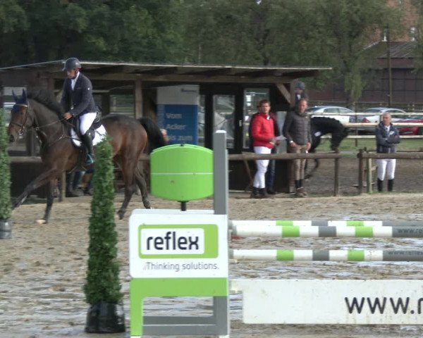 Reitturnier Lüdinghausen-Westrup 2019
