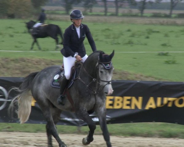 Reitturnier Lüdinghausen-Westrup 2019
