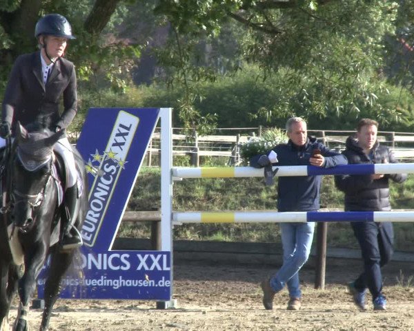 Reitturnier Lüdinghausen-Westrup 2019