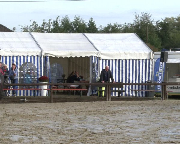 Reitturnier Lüdinghausen-Westrup 2019
