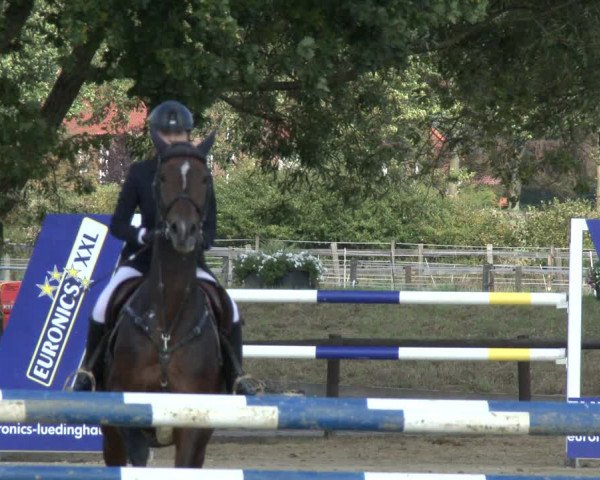 Reitturnier Lüdinghausen-Westrup 2019
