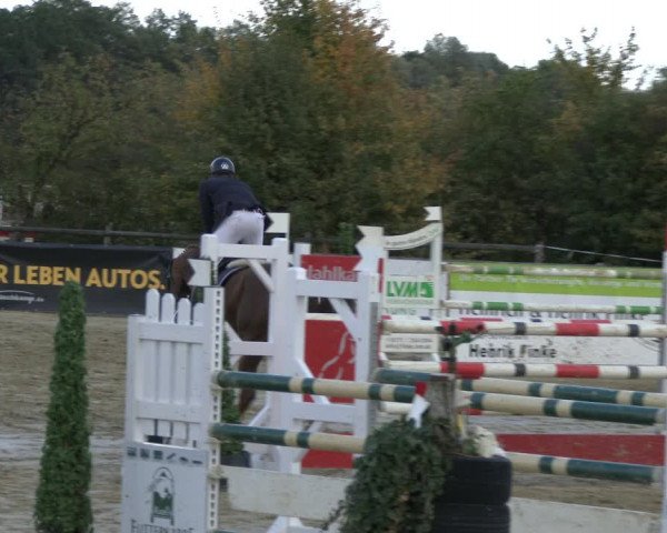 Reitturnier Lüdinghausen-Westrup 2019