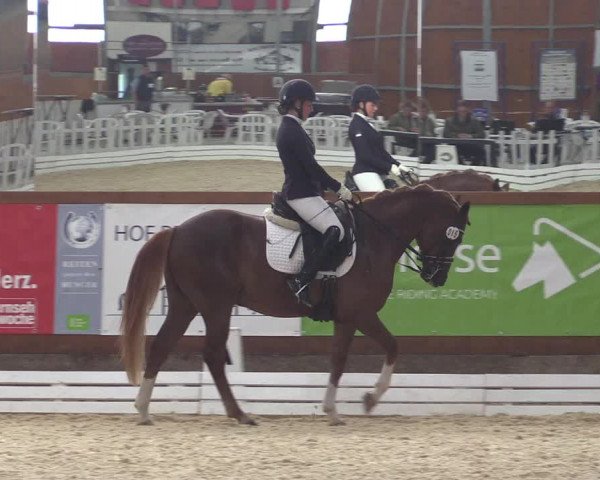 Reitturnier Hof Bettenrode 2019