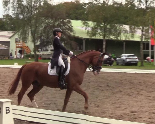 Reitturnier Wedel-Catharinenhof 2019