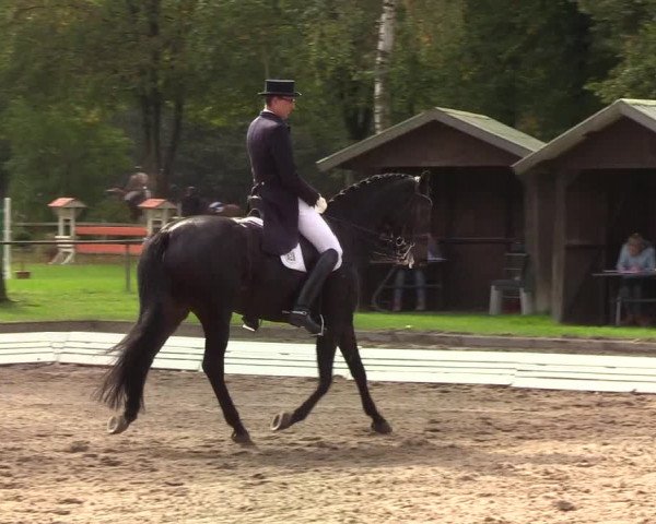 Reitturnier Wedel-Catharinenhof 2019