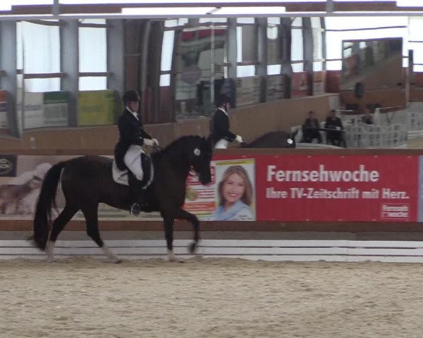 Reitturnier Hof Bettenrode 2019