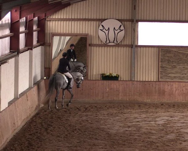 Reitturnier Lüdinghausen-Westrup 2019