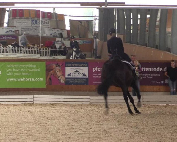 Reitturnier Hof Bettenrode 2019
