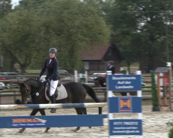 Reitturnier Lüdinghausen-Westrup 2019