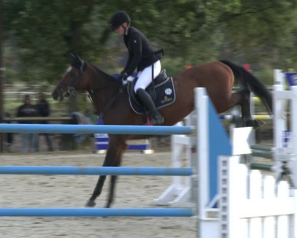 Reitturnier Lüdinghausen-Westrup 2019