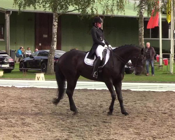 Reitturnier Wedel-Catharinenhof 2019