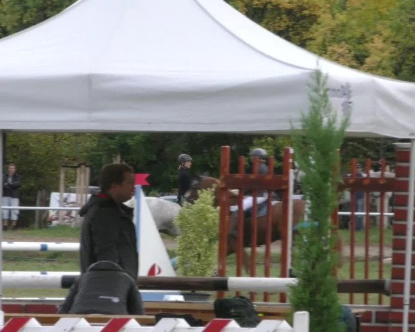 Reitturnier Wernigerode 2019