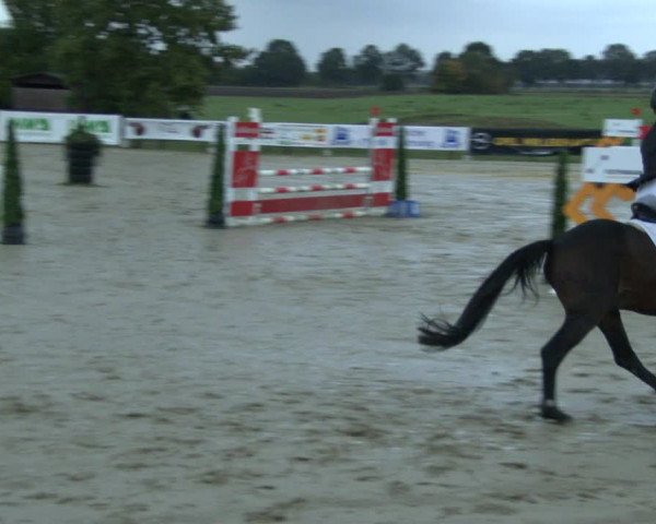 Reitturnier Lüdinghausen-Westrup 2019