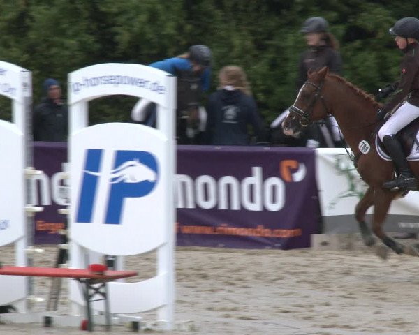 Reitturnier Lüdinghausen-Westrup 2019