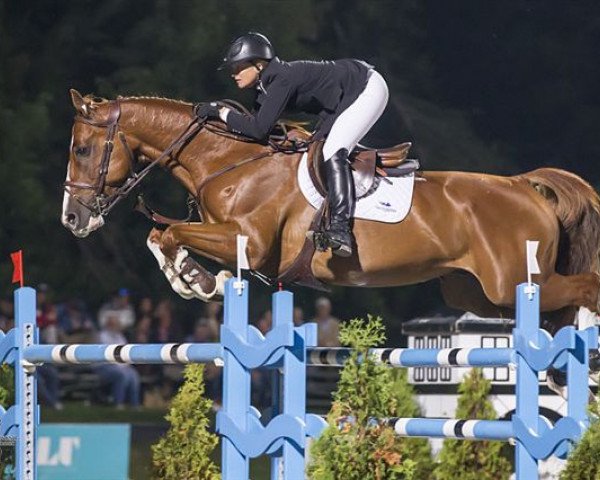 jumper Appy Cara (KWPN (Royal Dutch Sporthorse), 2005, from Guidam)